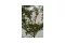 planten huren voor feest