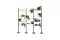 plantendisplay huren